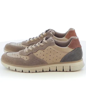 Stringate sportive IMAC art. 751830