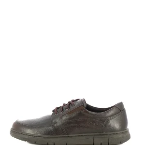 Stringate sportive GREENWOOD art. BYRON-AW23-05