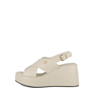 Sandali con cinturino CARLA COTE art. 55166L-02