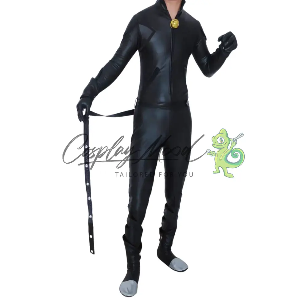 Costume Cosplay Chat Noir Miraculous Lady Bug