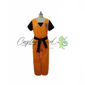 Costume Cosplay Goku Dragon Ball