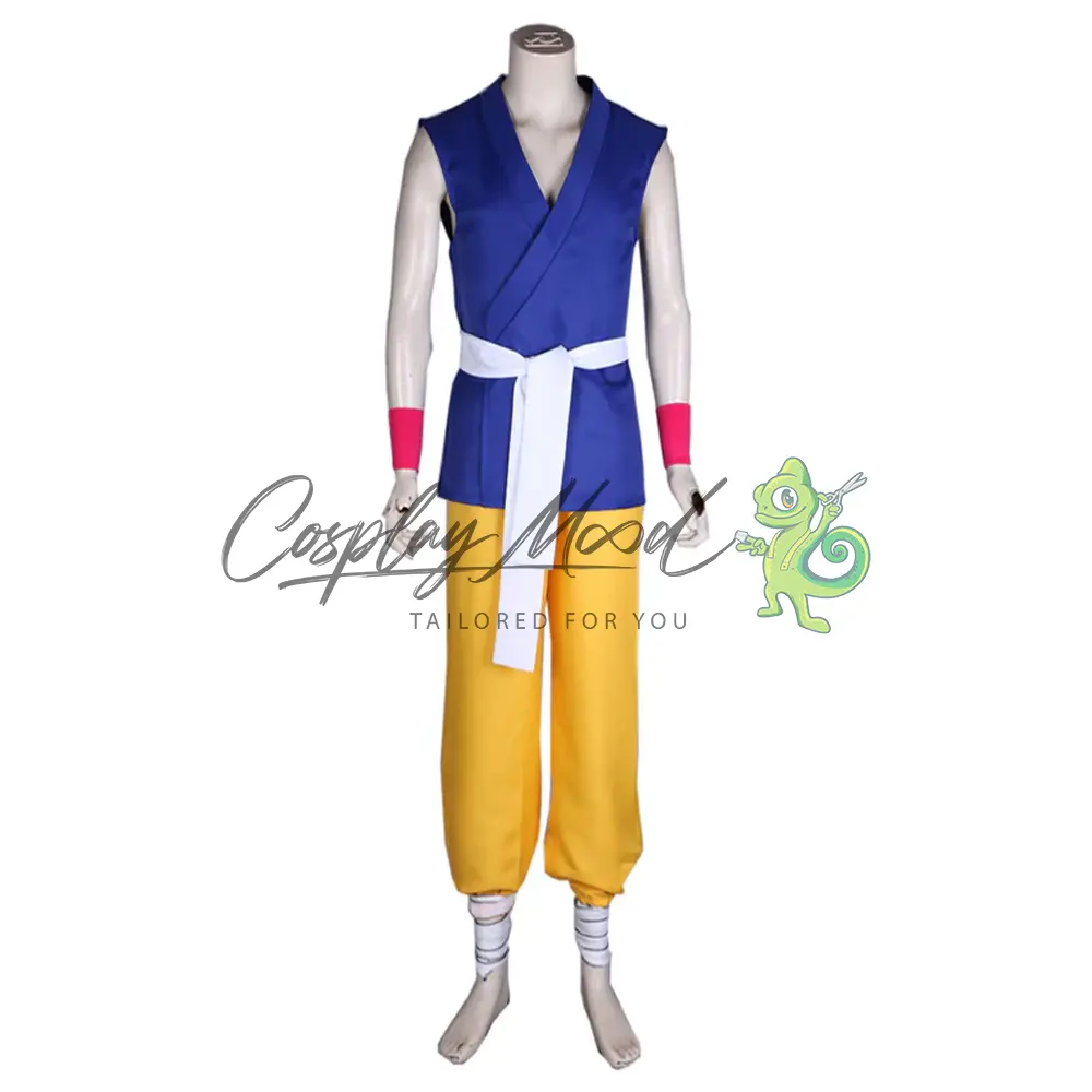 Costume Cosplay Goku Dragon Ball GT