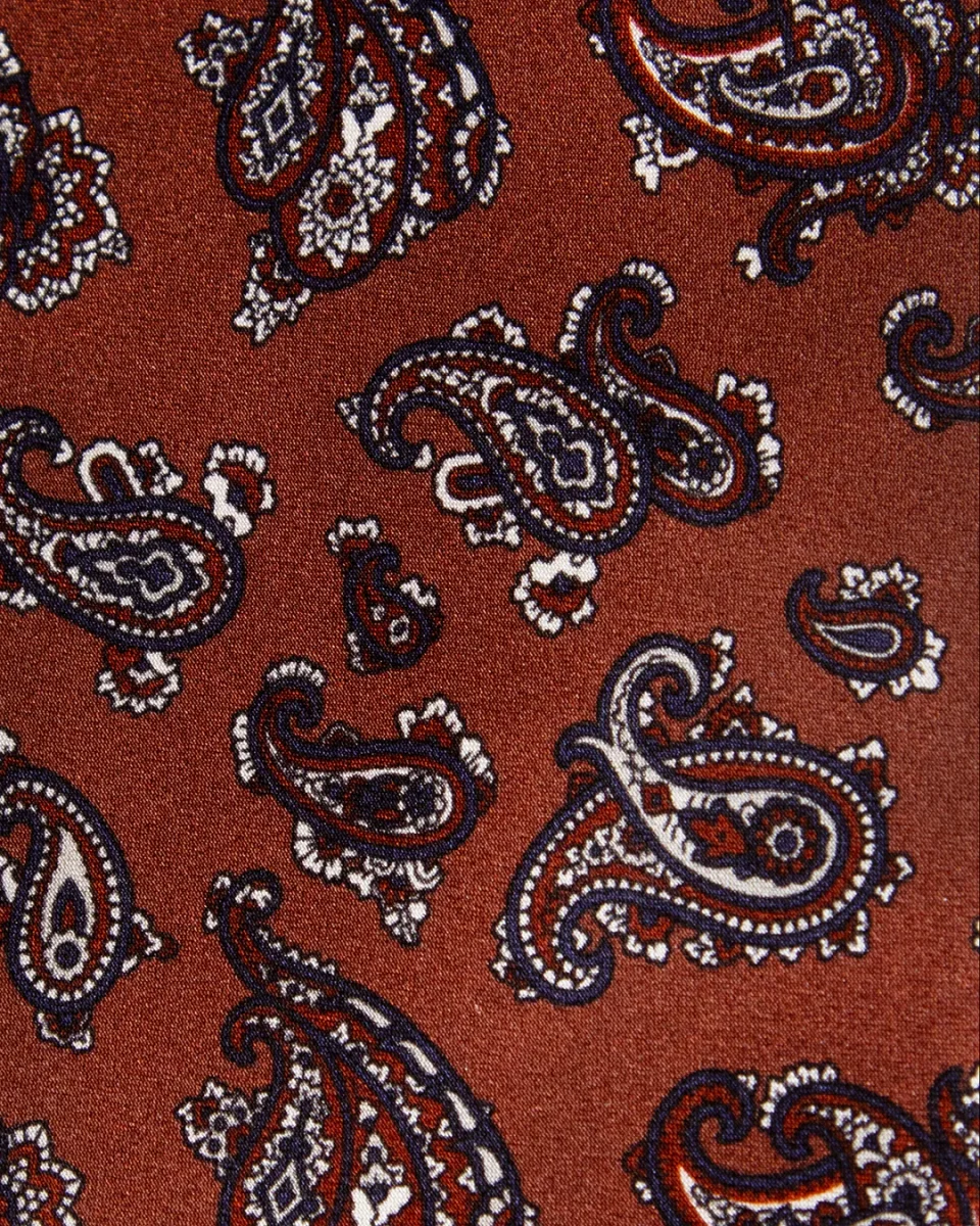 Cravatta Bronzo con Fantasia Paisley Blu e Rosso in Seta - immagine 7