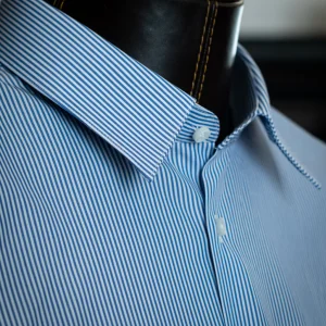 Camicia Bianca e Blu Bacchettata