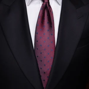 Cravatta Bordeaux con Pois Blu