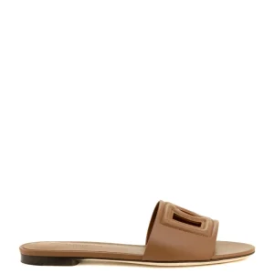 Slide con Logo DG colore marrone