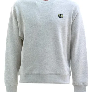 Felpa in cotone di colore grigio