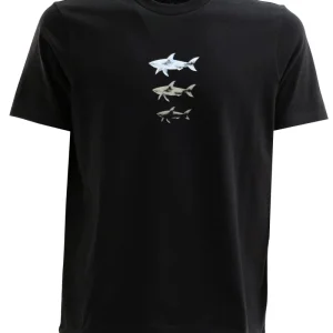 T-shirt in jersey di cotone di colore nero